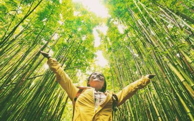 Sostenibilidad: El futuro resiliente del Planeta